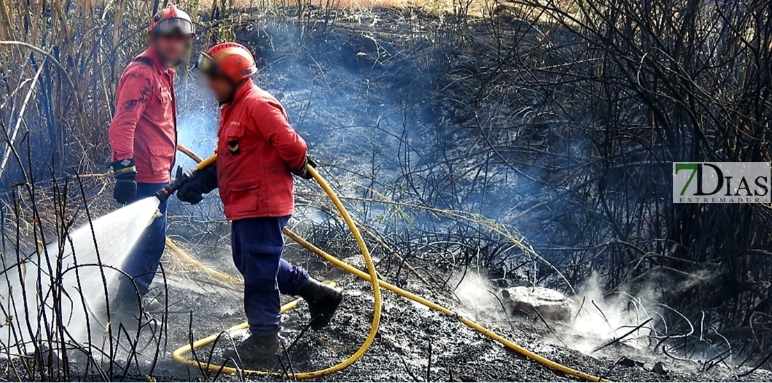 REPOR: Imágenes del incendio en La Raya