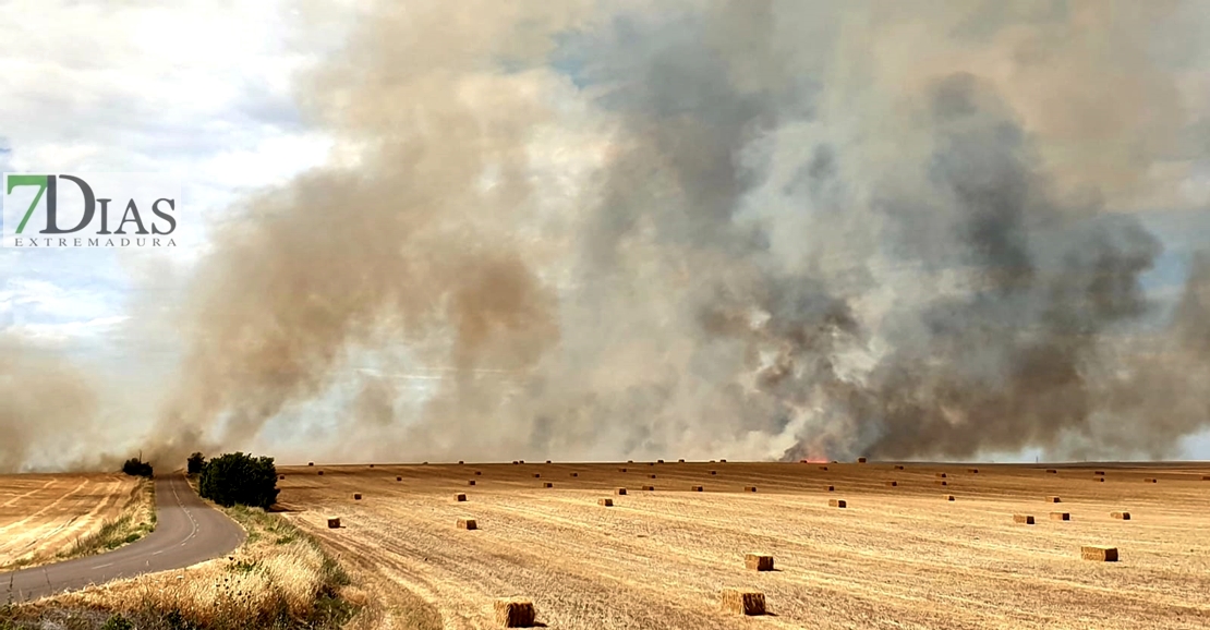 Un incendio avanza cerca de la urbanización Río Caya (Badajoz)