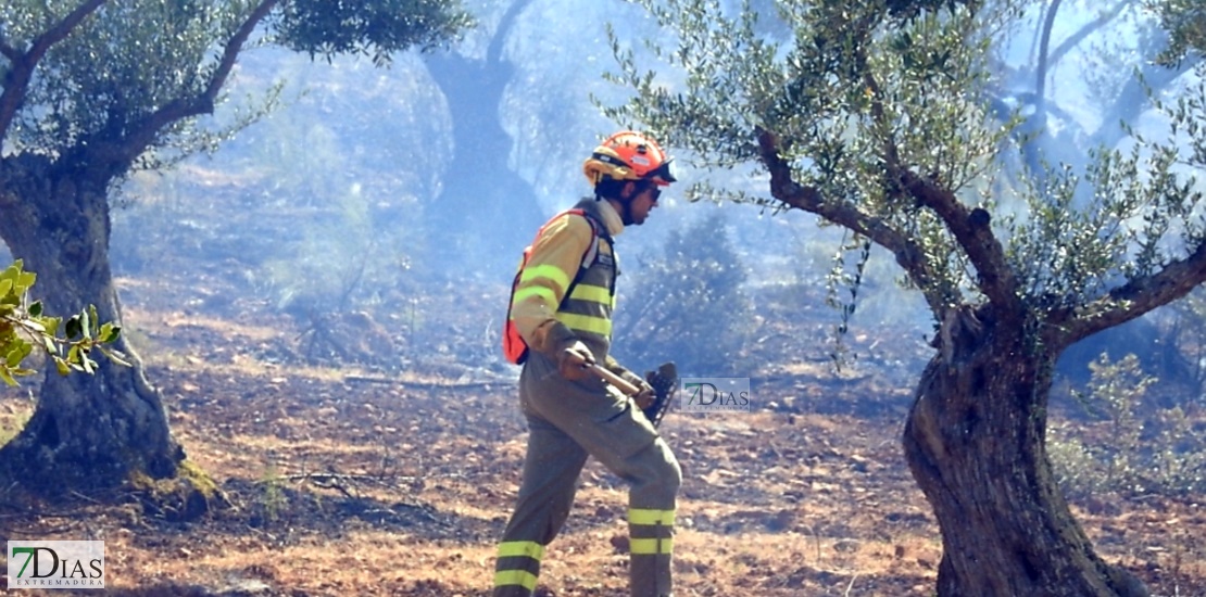 REPOR - Imágenes del incendio forestal entre Almendral y Valverde de Leganés
