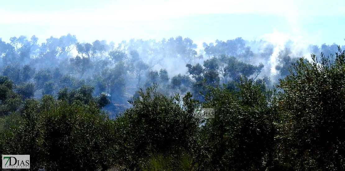 REPOR - Imágenes del incendio forestal entre Almendral y Valverde de Leganés