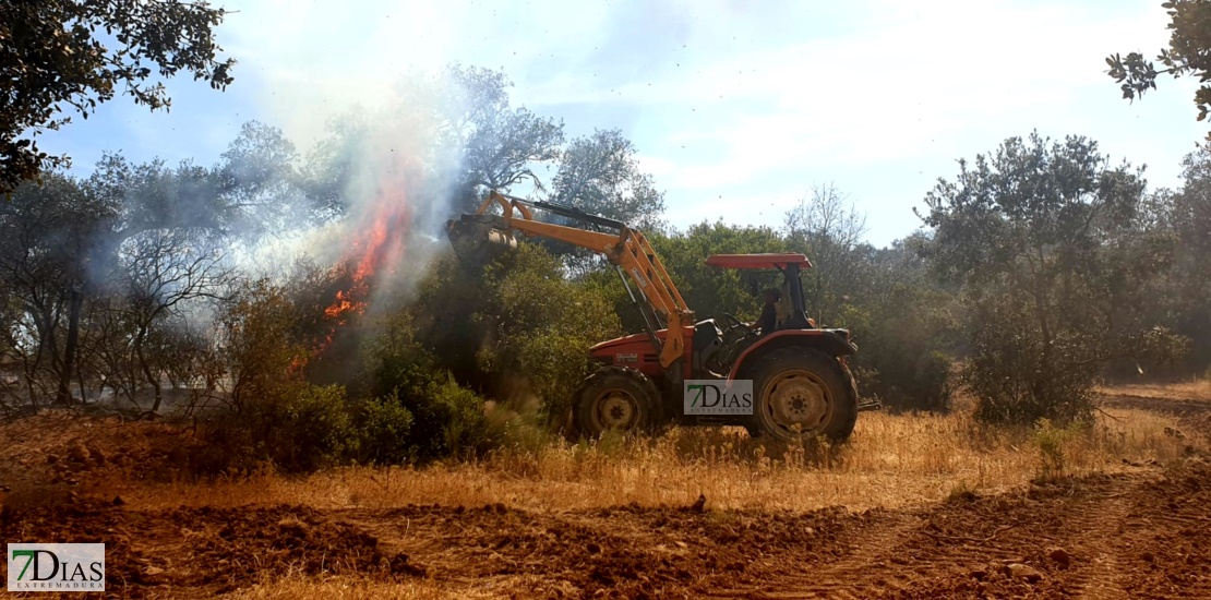 REPOR - Imágenes del incendio forestal entre Almendral y Valverde de Leganés