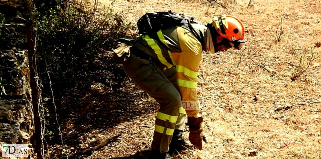 REPOR - Imágenes del incendio forestal entre Almendral y Valverde de Leganés