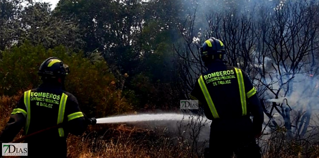 REPOR - Imágenes del incendio forestal entre Almendral y Valverde de Leganés