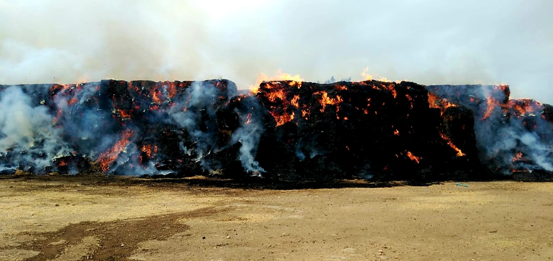 Los Bomberos actúan en el incendio de una niara en Alburquerque