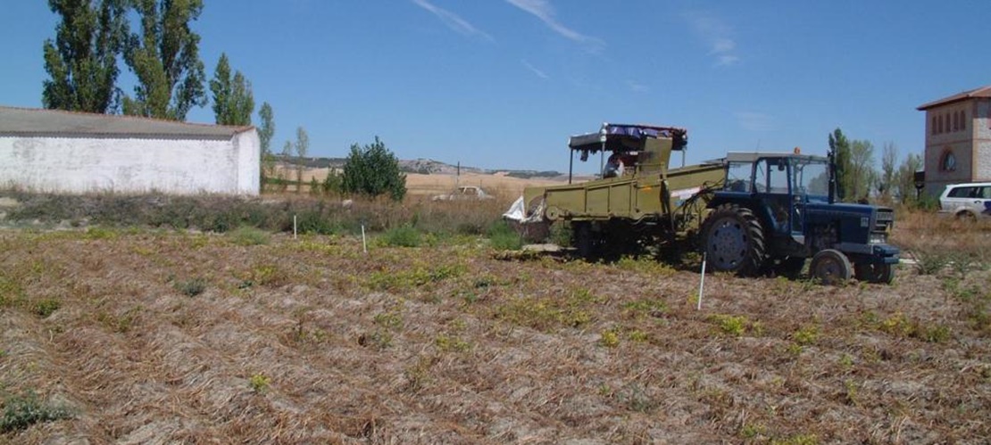 UPA cifra en más de 336 millones de euros las pérdidas por sequía en el campo