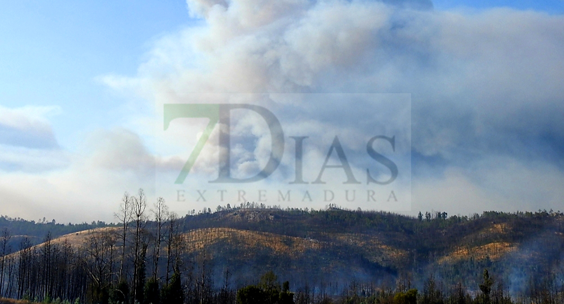 Última hora del grave incendio que arrasa en estos momentos Portugal