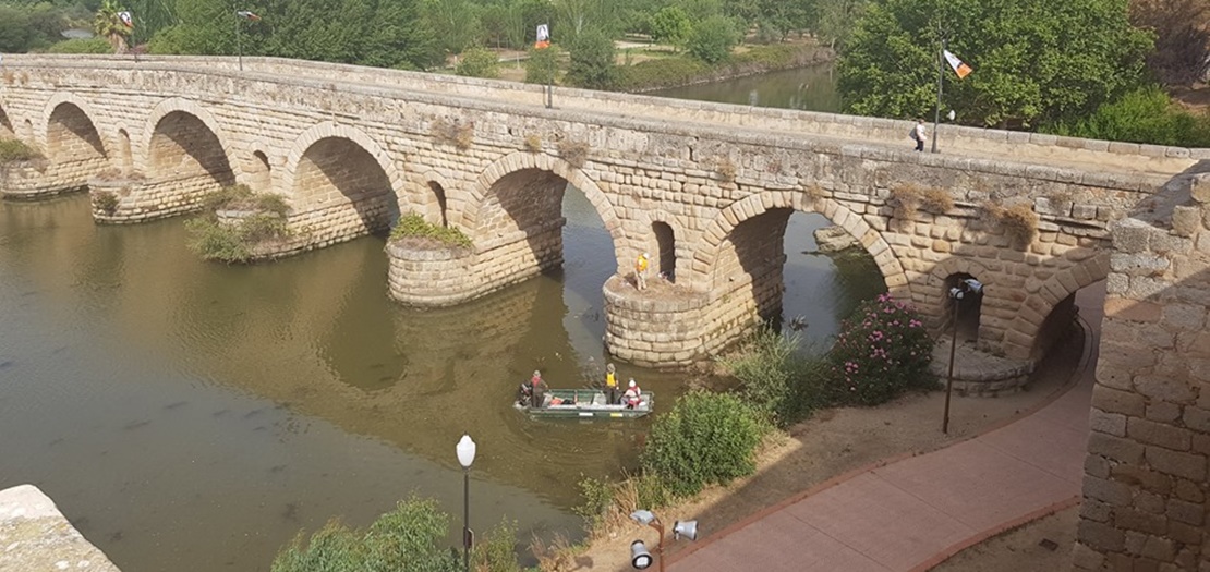 El Consorcio limpia el primer tramo del puente romano de Mérida