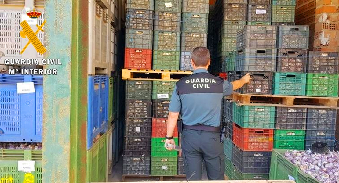 Investigados en Aceuchal por receptar 7.000 kilos de ajos ilícitos procedentes de Cuenca