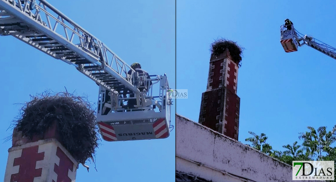 Complicado rescate para los Bomberos del CPEI en Olivenza