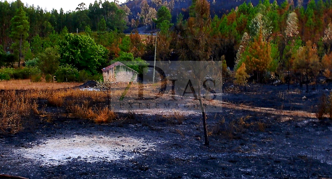 Las autoridades controlan el incendio que asoló más de 9.000 hectáreas en Portugal