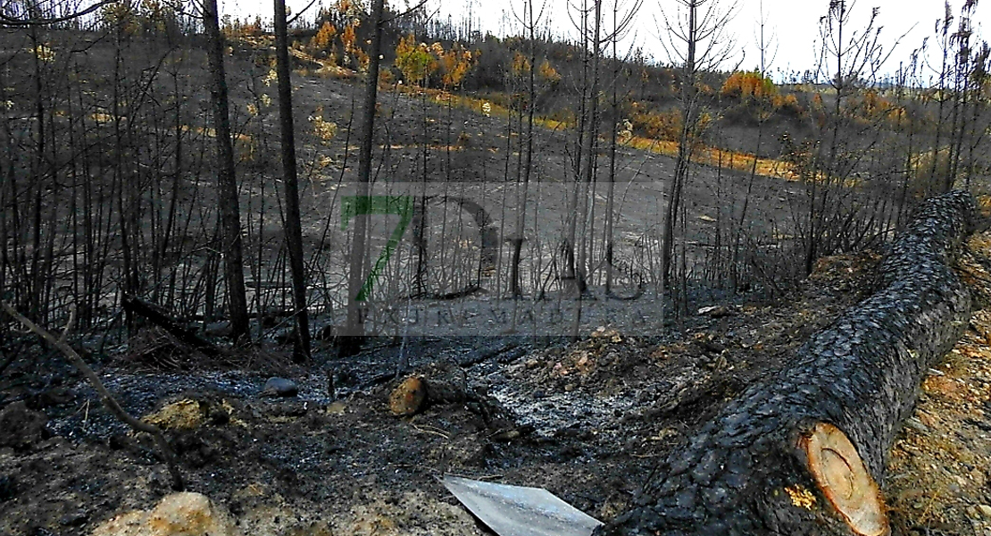 Las autoridades controlan el incendio que asoló más de 9.000 hectáreas en Portugal