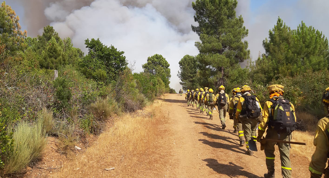 Extremadura envía apoyo para sofocar el incendio que arrasa Ávila