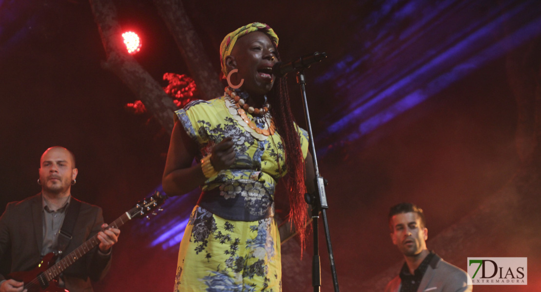 Imágenes de Suberock 2019