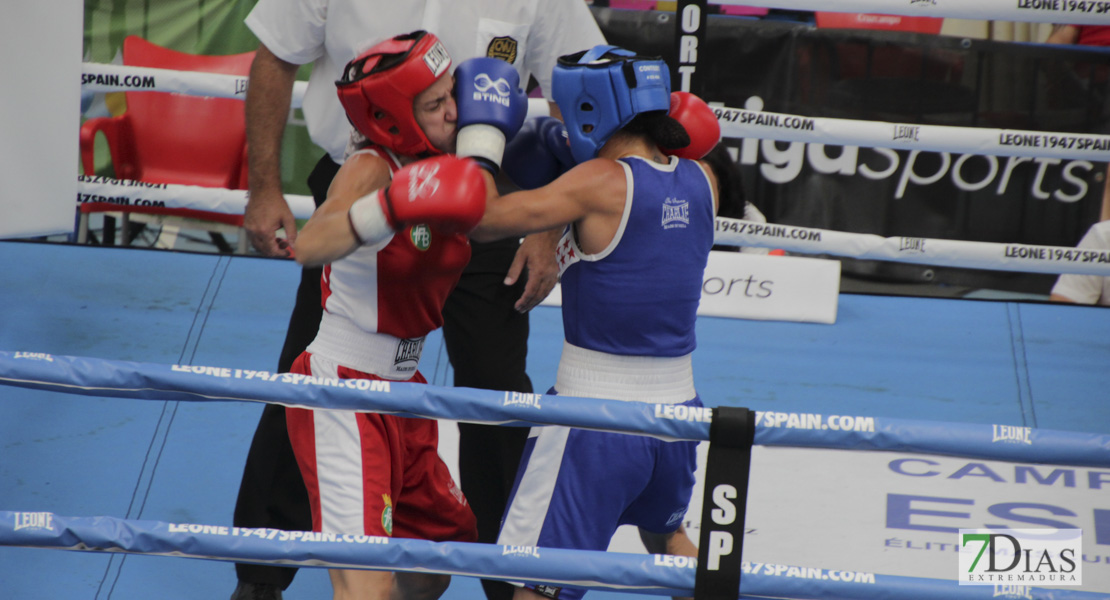 Imágenes del Campeonato de España de Boxeo