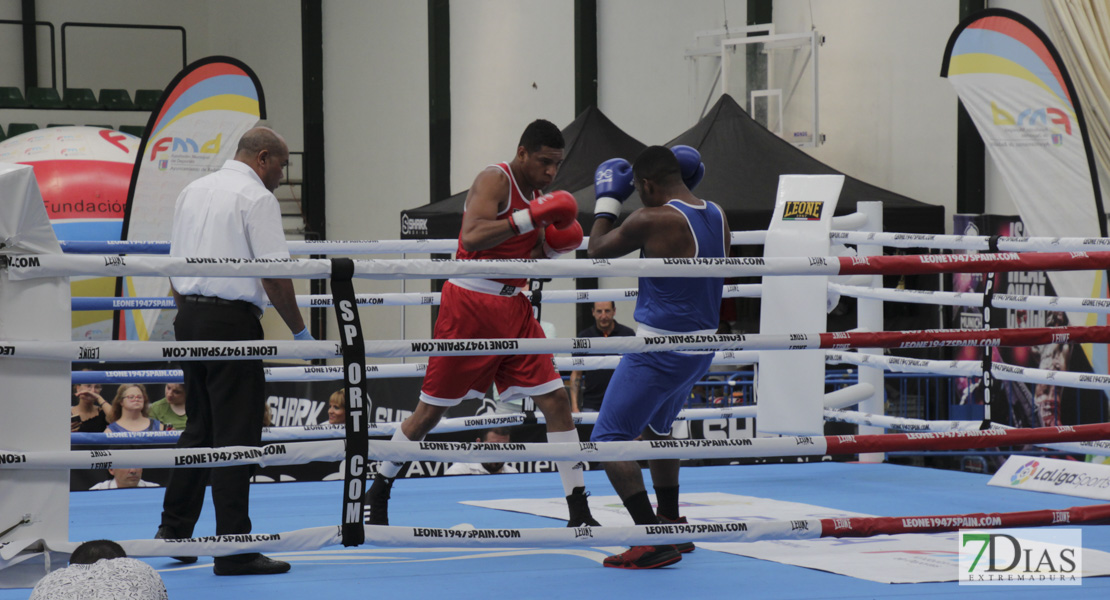 Imágenes del Campeonato de España de Boxeo