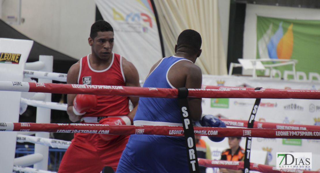 Imágenes del Campeonato de España de Boxeo