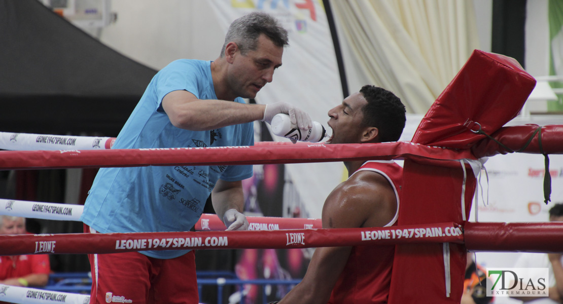 Imágenes del Campeonato de España de Boxeo