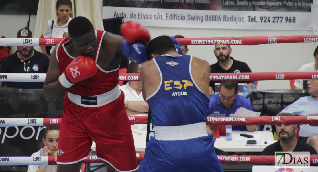 Imágenes del Campeonato de España de Boxeo