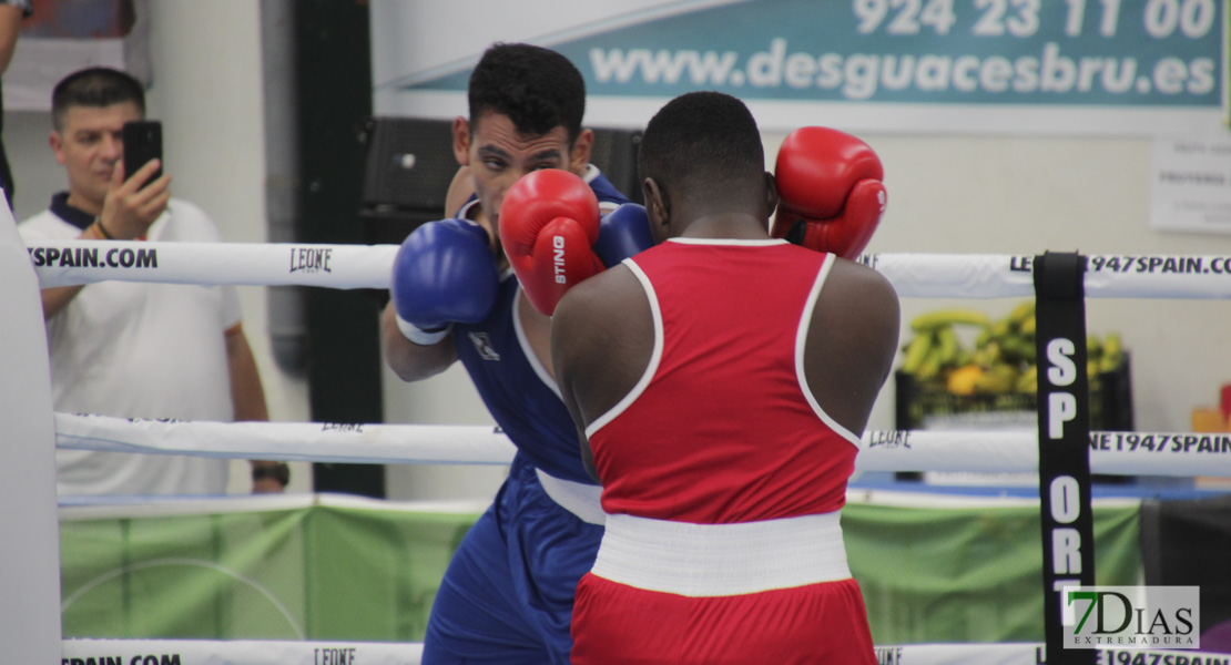 Imágenes del Campeonato de España de Boxeo