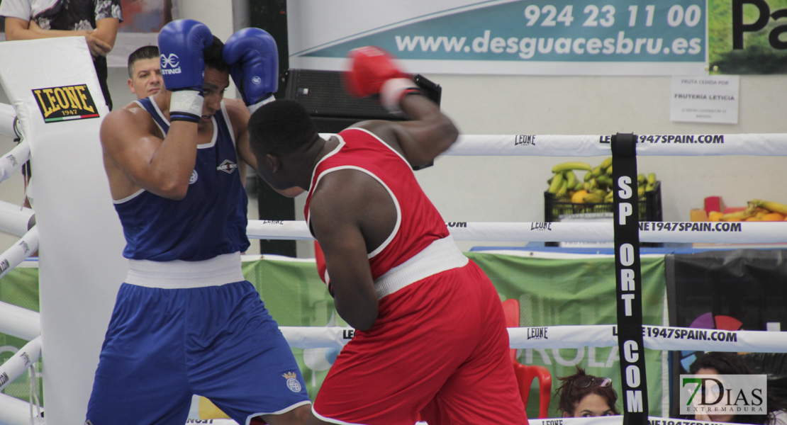 Imágenes del Campeonato de España de Boxeo