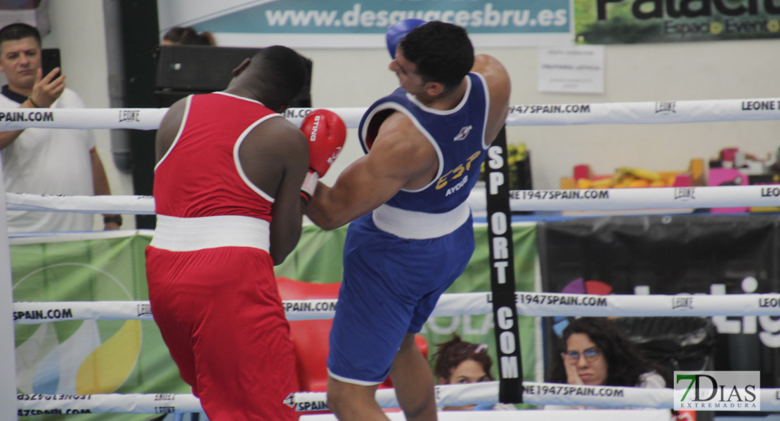 Imágenes del Campeonato de España de Boxeo