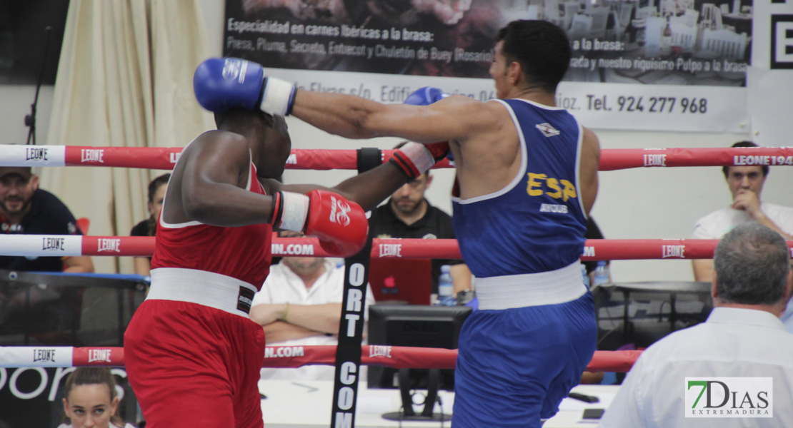 Imágenes del Campeonato de España de Boxeo