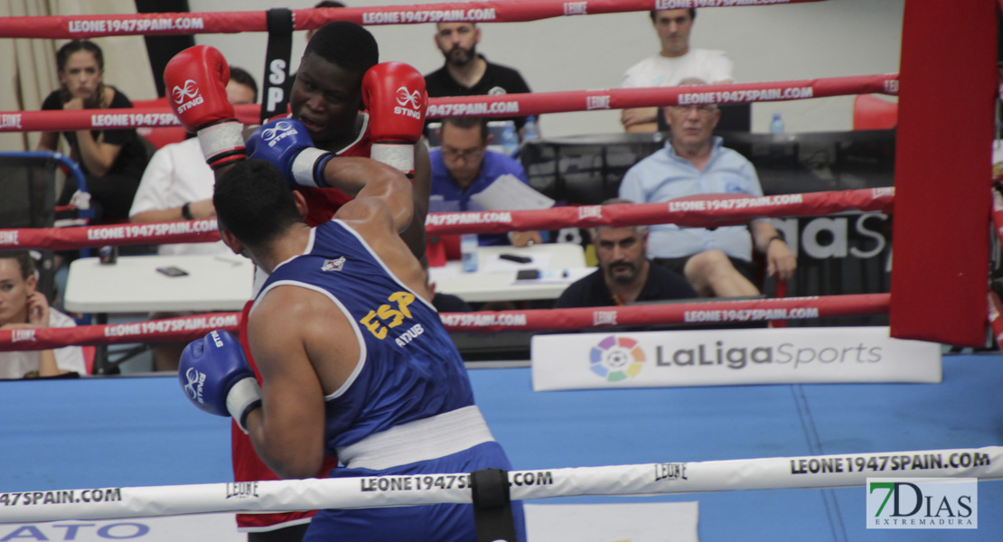 Imágenes del Campeonato de España de Boxeo