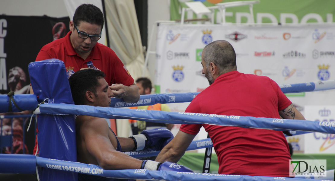 Imágenes del Campeonato de España de Boxeo