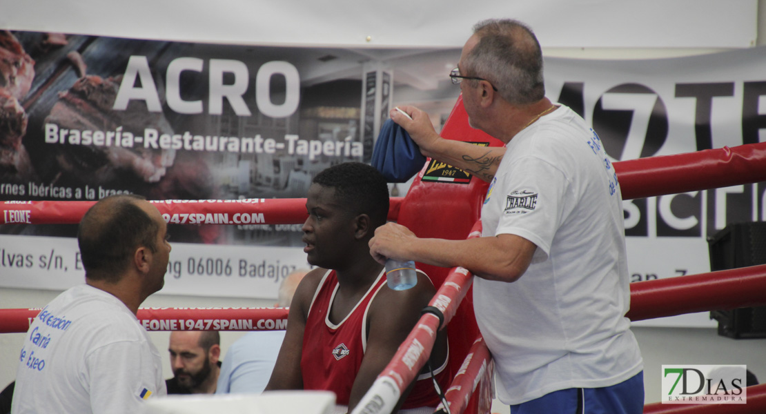 Imágenes del Campeonato de España de Boxeo