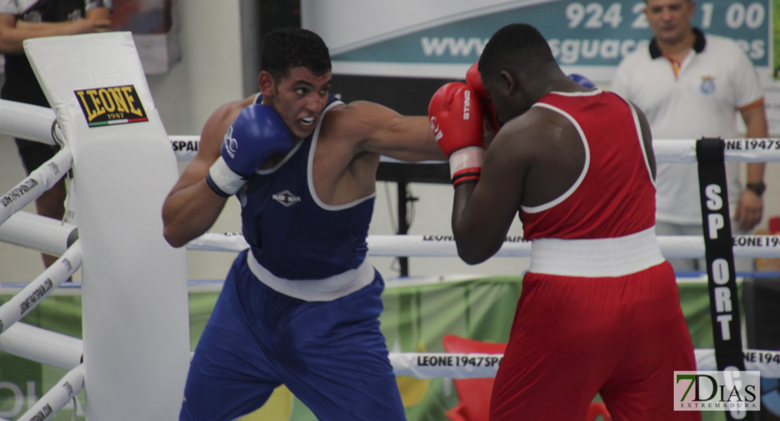 Imágenes del Campeonato de España de Boxeo