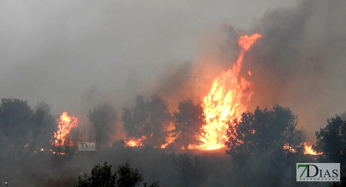 Grave incendio en el vertedero de residuos urbanos de Badajoz