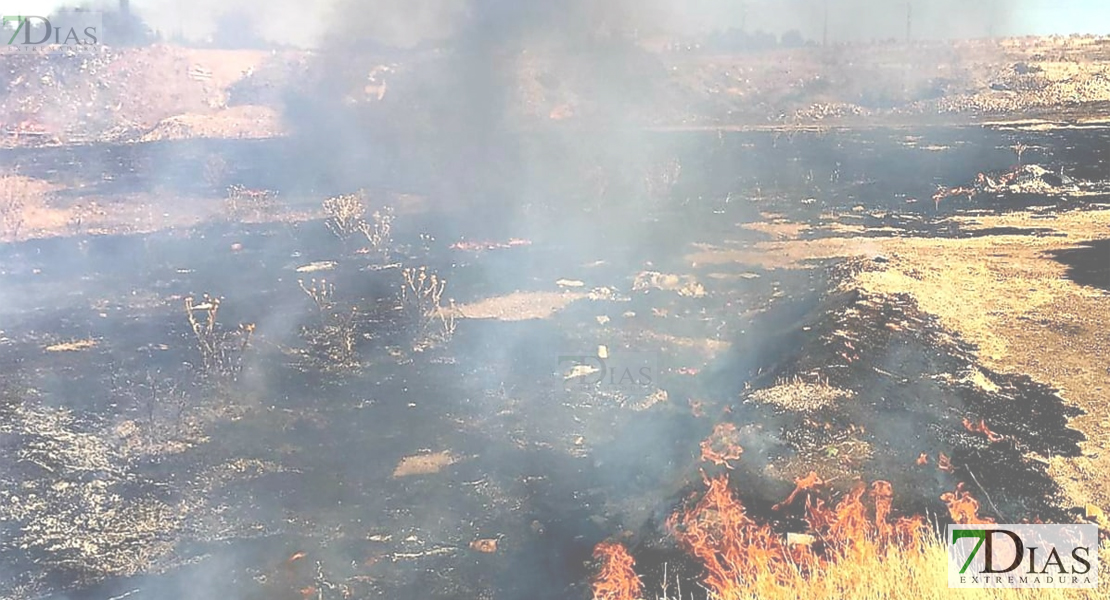 Bomberos del CPEI actúan en un incendio periurbano en Villafranca
