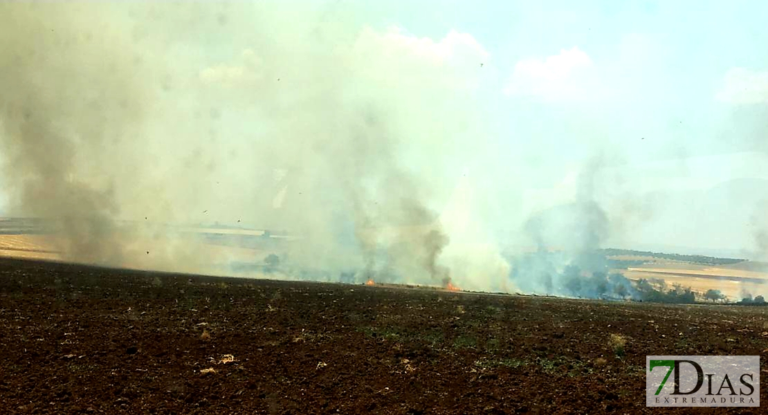 La rápida actuación de los bomberos evita que un incendio alcance una industria ganadera