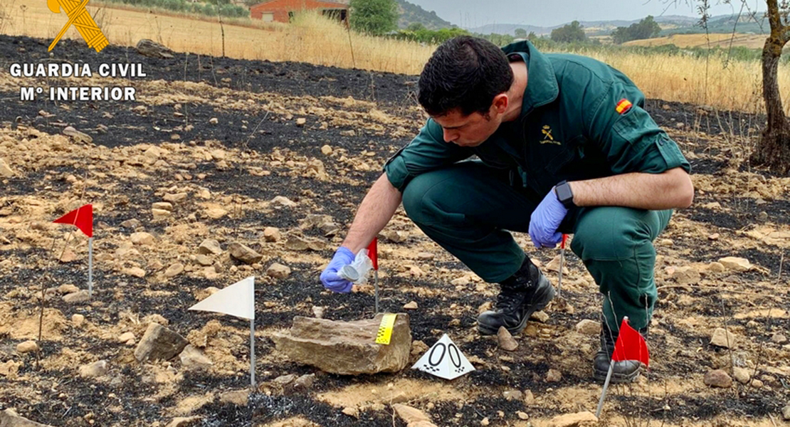 Investigan la imprudencia grave que originó un incendio forestal en la Sierra del Castellar (Zafra)