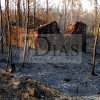 Las autoridades controlan el incendio que asoló más de 9.000 hectáreas en Portugal