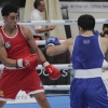 Imágenes del Campeonato de España de Boxeo