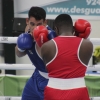 Imágenes del Campeonato de España de Boxeo