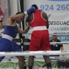 Imágenes del Campeonato de España de Boxeo