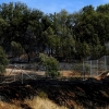 Imágenes del incendio en la urbanización Los Montitos (Badajoz)