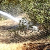 Imágenes del incendio en la urbanización Los Montitos (Badajoz)