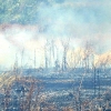 Incendio en la Ronda Norte de Badajoz