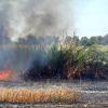 Incendio en la Ronda Norte de Badajoz