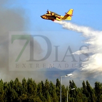 Nuevo incendio en el distrito portugués de Castelo Branco