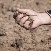 UPA: “Los agricultores y ganaderos no pueden soportar la subida de los seguros”