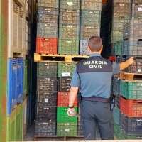 Investigados en Aceuchal por receptar 7.000 kilos de ajos ilícitos procedentes de Cuenca