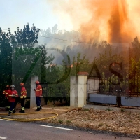 Al menos ocho aviones y 200 bomberos luchan de nuevo contra el fuego en Castelo Branco