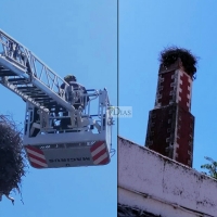 Complicado rescate para los Bomberos del CPEI en Olivenza