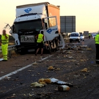 Imágenes del accidente de Trujillanos (Badajoz)