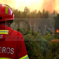 Unidas Podemos Badajoz se solidariza con los incendios en Portugal