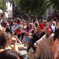 &#39;Ven a bailar con los grupos del Festival&#39; llena un año más San Francisco